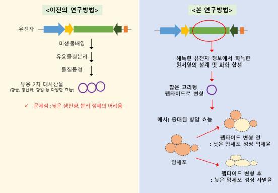 [서울=뉴시스]유전체기반 펩타이드 연구의 방법 예시(자료=국립낙동강생물자원관 제공) *재판매 및 DB 금지