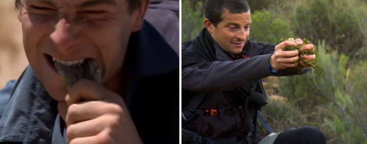 [서울=뉴시스] 살무사를 생으로 뜯어먹는 베어그릴스(왼쪽)과 코끼리 대변에서 수분을 얻는 베어 그릴스(오른쪽), 우크라이나를 방문한 베어 그릴스는 "젤런스키 대통령의 새로운 모습을 볼 수 있을 것" 이라고 소셜미디어(SNS)를 통해 밝혔다 (사진출처: 디스커버리 채널 영상 캡처) 2022.12.05. *재판매 및 DB 금지