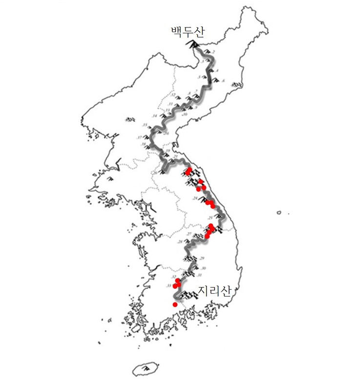 백두대간 지의류 미보고종 15종 자생지 (사진=한국수목원정원관리원 제공) *재판매 및 DB 금지