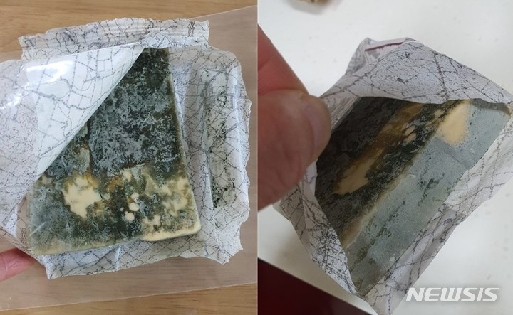 홈플러스에서 구입한 치즈에 곰팡이가 피어 있다. 제보자 제공