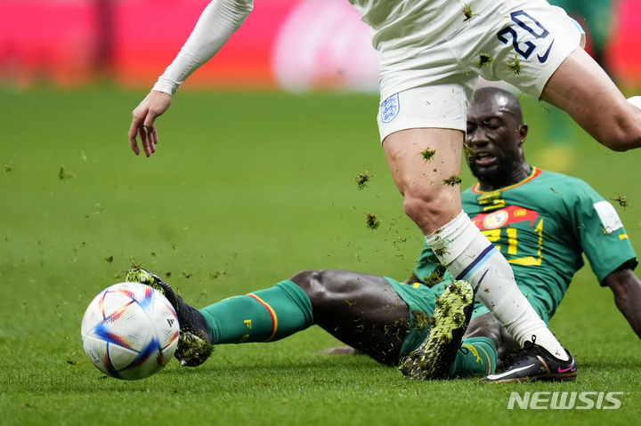 [알코르=AP/뉴시스] 4일(현지시간) 카타르 알코르 알베이트 스타디움에서 열린 2022 FIFA 카타르 월드컵 16강전 잉글랜드와 세네갈의 경기, 세네갈 유스프 사발리가 태클을 시도하고 있다. 2022.12.05.