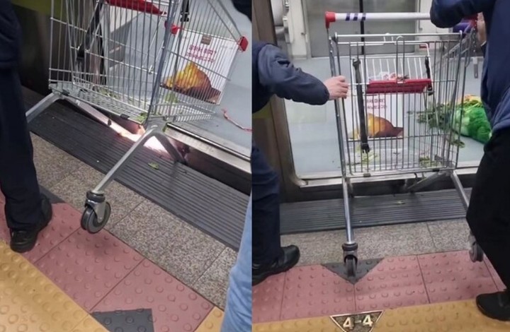 사진 온라인커뮤니티 캡처 *재판매 및 DB 금지