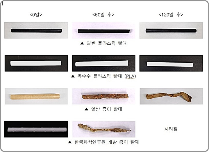 [대전=뉴시스] 바다에서의 빨대 분해 정도 관찰 결과. *재판매 및 DB 금지