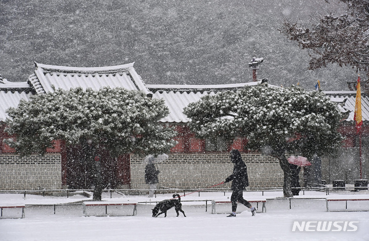 [수원=뉴시스] 김종택 기자 = 절기상 대설(大雪)을 하루 앞둔 지난 6일 경기도 수원시 팔달구 화성행궁에서 시민들이 함박눈을 맞으며 걸어가고 있다. 2022.12.06. jtk@newsis.com