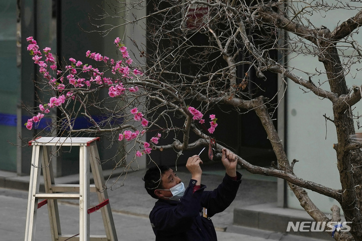 [베이징=AP/뉴시스] 7일 중국 베이징 거리에서 한 근로자가 나뭇가지에 조화를 설치하고 있다. 중국 국무원이 코로나19 규제 완화책으로 10개 조치를 발표하면서 앞으로 고위험 지역이 아니면 지역 간 이동에 제한받지 않고 무증상 감염자와 경증 환자는 원칙적으로 자가격리가 허용되는 등 '제로 코로나'가 '위드 코로나'로 바뀔 것으로 기대되고 있다. 2022.12.07.