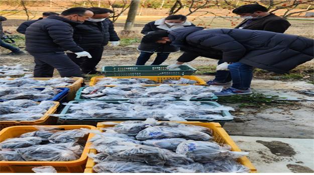 [장성=뉴시스] 김혜인 기자 = 영산강유역환경청은 멸종위기종 구렁이를 포함한 뱀 4100여 마리를 불법 가공·보관한 밀렵꾼을 적발했다고 7일 밝혔다. 2022.12.07. (사진 =영산강환경청 제공) photo@newsis.com