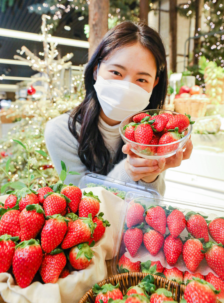 홍희 딸기 (제공= 현대백화점) *재판매 및 DB 금지