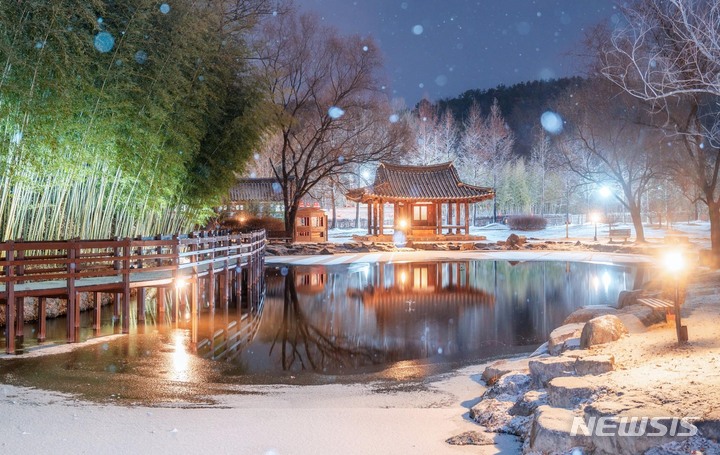 카타르 월드컵 전남 홍보 관광지 담양 죽녹원 겨울밤. (사진=전남도 제공) 2022.12.09. photo@newsis.com
