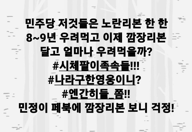 [창원=뉴시스] 강경국 기자 = 국민의힘 김미나(53·비례) 경남 창원특례시의원이 지난 1일 페이스북에 올린 게시글이 핼러윈 참사 유족 측으로부터 분노를 사고 있다. 김 시의원이 올린 글은 '민주당 저것들은 노란리본 한 한 8~9년 우려먹고 이제 깜장리본 달고 얼마나 우려먹을까?!! #시체팔이족속들!! #나라구한영웅이니? #엔간히들 쫌!! 민정이 페북에 깜장리본 보니 걱정!' 등이다. (사진=독자 제공). 2022.12.13. photo@newsis.com *재판매 및 DB 금지