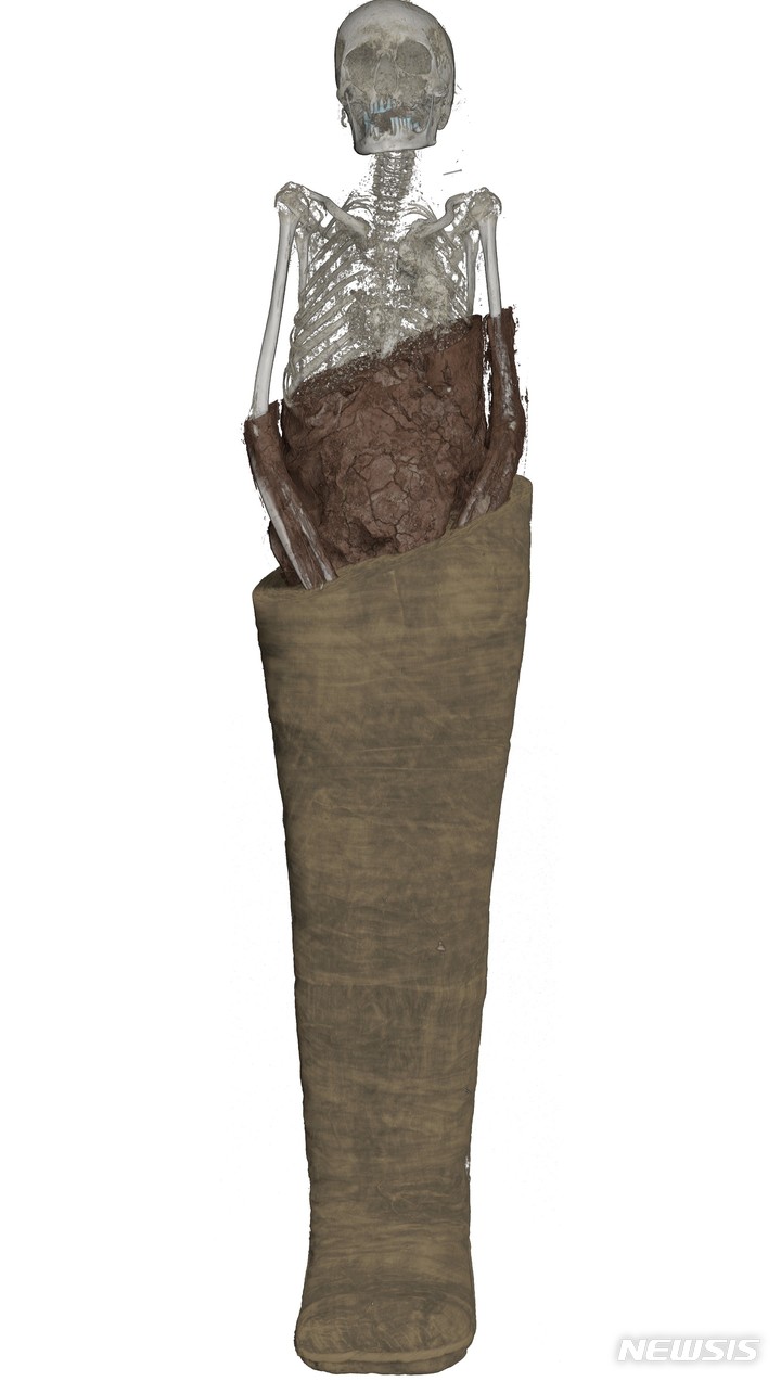 [서울=뉴시스]이집트미라전, 타디스 혹은 타(네트)카루의 미라