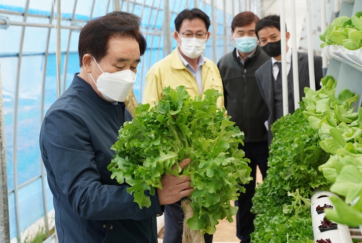 [진천=뉴시스] 지역 스마트팜을 둘러보는 송기섭 진천군수. (사진=진천군 제공) photo@newsis.com *재판매 및 DB 금지