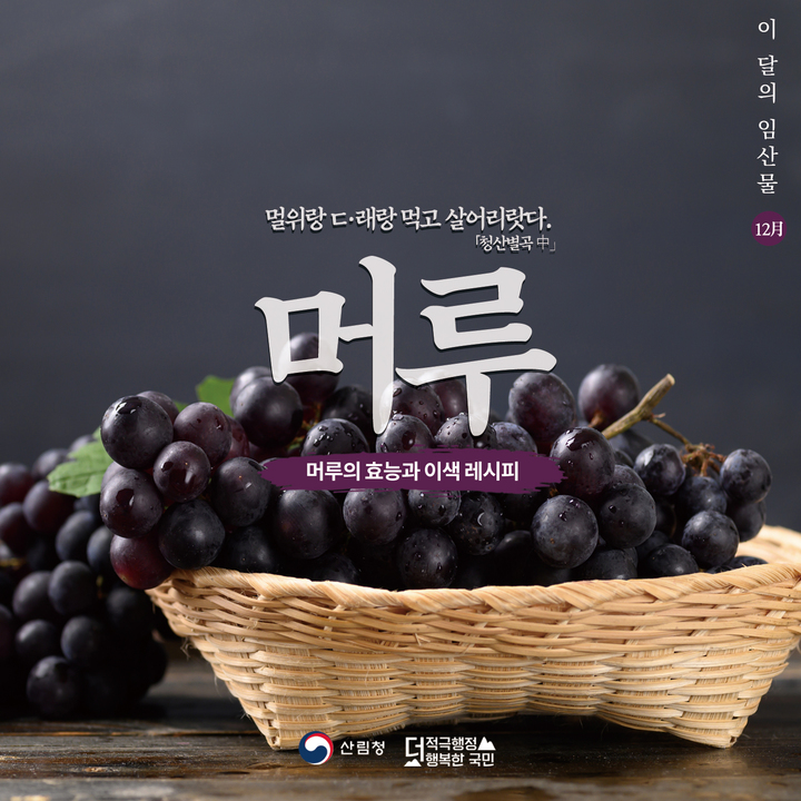 [대전=뉴시스] 12월 이달의 임산물로 선정된 머루. *재판매 및 DB 금지