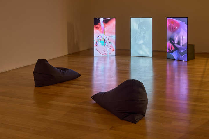 이미지 제공: 하이트컬렉션 사진 촬영: 김경태 *재판매 및 DB 금지