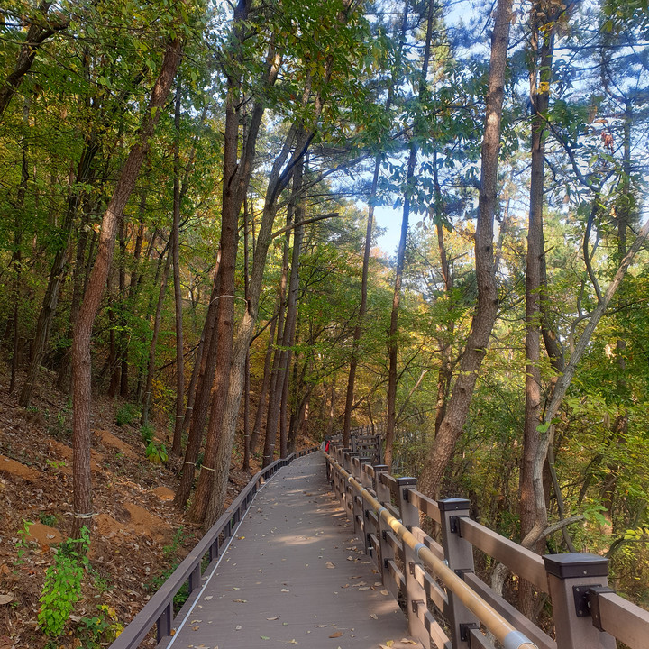 광양시 광양읍 서산어울길에 설치한 데크길. 광양시 제공 *재판매 및 DB 금지