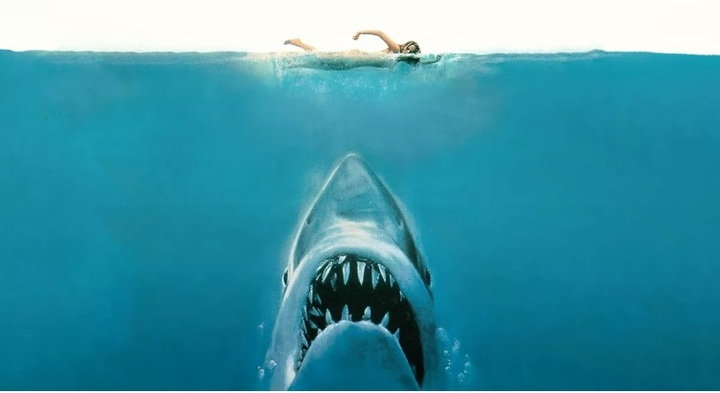 [서울=뉴시스] 스티븐 스필버그가 감독한 영화 '죠스'(1975)의 이미지 컷, 스필버그는 자신의 영화로 인해 급증한 무분별한 상어 사냥과 개체수 감소에 대해 사과의 뜻을 밝혔다 (사진출처: 유니버셜 스튜디오) 2022.12.19. *재판매 및 DB 금지