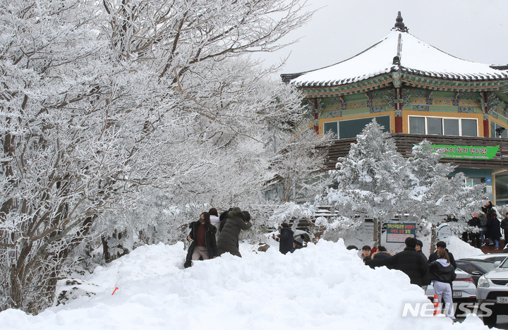 [제주=뉴시스] 우장호 기자 = 19일 오후 주말 동안 폭설이 쏟아진 제주 한라산 자락에 눈꽃이 활짝펴 시선을 사로 잡고 있다. 2022.12.19. woo1223@newsis.com