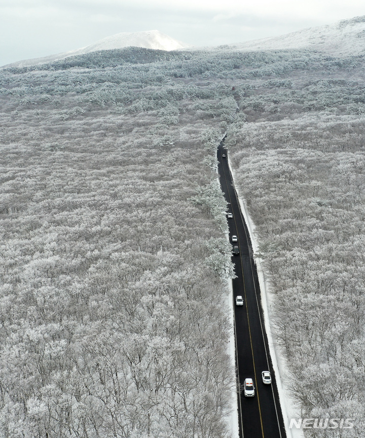 [제주=뉴시스] 우장호 기자 = 19일 오후 주말 동안 폭설이 쏟아진 제주 한라산 자락에 눈꽃이 활짝펴 시선을 사로 잡고 있다. 2022.12.19. woo1223@newsis.com