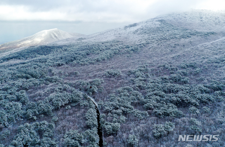 [제주=뉴시스] 우장호 기자 = 19일 오후 주말 동안 폭설이 쏟아진 제주 한라산 자락에 눈꽃이 활짝펴 시선을 사로 잡고 있다. 2022.12.19. woo1223@newsis.com