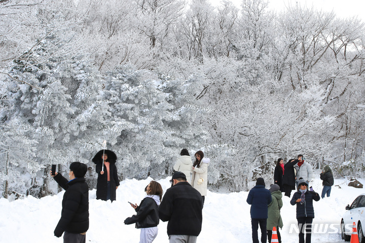 [제주=뉴시스] 우장호 기자 = 19일 오후 주말 동안 폭설이 쏟아진 제주 한라산 자락에 눈꽃이 활짝펴 시선을 사로 잡고 있다. 2022.12.19. woo1223@newsis.com