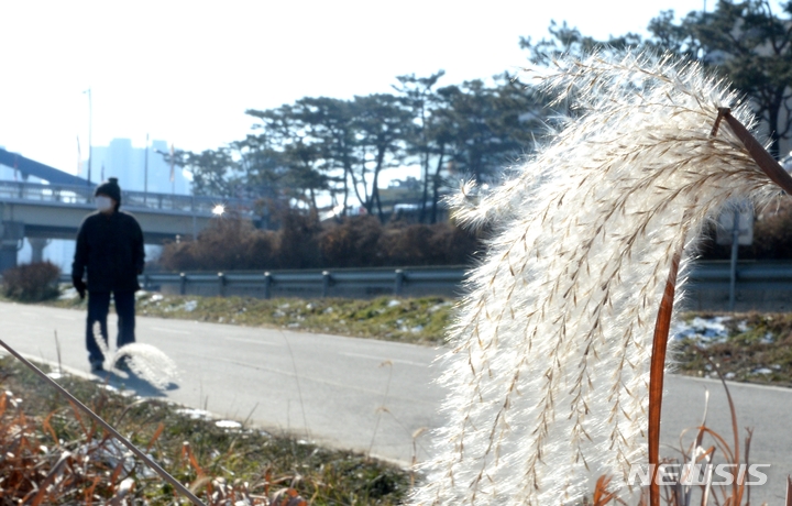 충북 청주·영동·충주·증평에 '건조주의보'…"화재 주의"