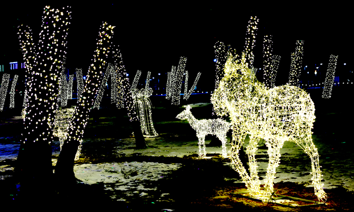 치유의 숲 *재판매 및 DB 금지