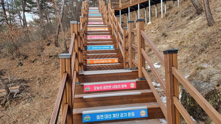 [거창=뉴시스]거창 수승대 출렁다리에 건강계단 설치. *재판매 및 DB 금지