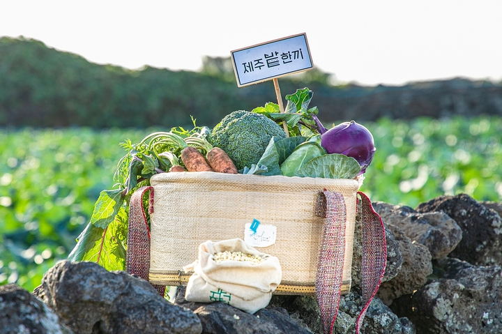 제주밭한끼 꾸러미. (사진=제주시농촌신활력플러스사업추진단 제공) *재판매 및 DB 금지