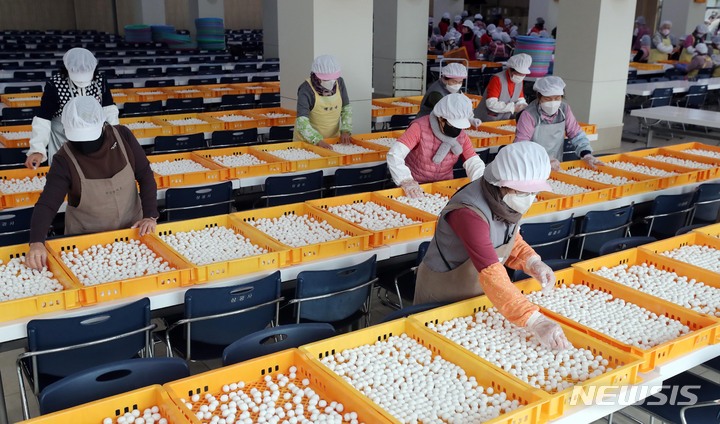 [부산=뉴시스] 하경민 기자 = 동지를 하루 앞둔 21일 부산 부산진구 삼광사 내 식당에서 불자들이 동지팥죽에 넣을 새알심을 건조하고 있다. 삼광사는 신도와 시민 등 1만명과 팥죽을 나눌 예정이다. 2022.12.21. yulnetphoto@newsis.com