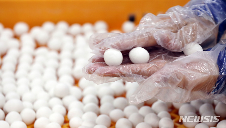 [부산=뉴시스] 하경민 기자 = 동지를 하루 앞둔 21일 부산 부산진구 삼광사 내 식당에서 불자들이 동지팥죽에 넣을 새알심을 빚고 있다. 삼광사는 신도와 시민 등 1만명과 팥죽을 나눌 예정이다. 2022.12.21. yulnetphoto@newsis.com