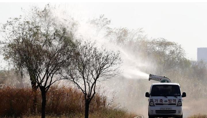 [부산=뉴시스] 고병원성 조류인플루엔자 방역활동. (사진=부산시 제공) *재판매 및 DB 금지