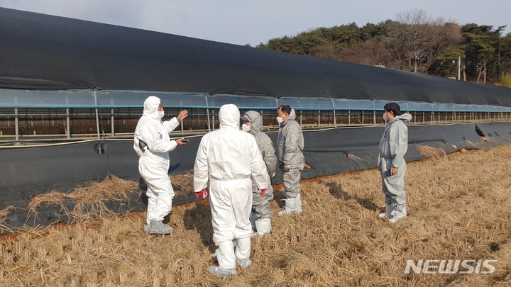 [하동=뉴시스] 홍정명 기자= 정연상(맨 왼쪽) 경남도 농정국장이 22일 오전 하동군 옥종면 고병원성 조류인플루엔자 의심축이 발생한 육용오리 사육농장을 찾아 현장을 둘러보고 있다.(사진=경남도 제공) 2022.12.22. photo@newsis.com