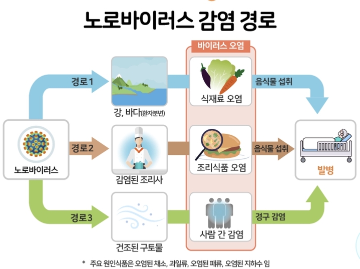 겨울철에도 노로바이러스에 의한 식중독에 걸릴 수 있어 각별한 주의가 필요하다. (사진=식품의약품안전처 제공) *재판매 및 DB 금지