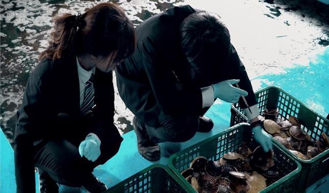수산생물 검역 현장. (사진=해양수산부 제공) *재판매 및 DB 금지