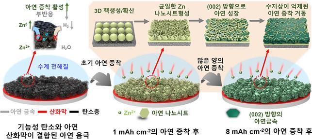 [대전=뉴시스] 고려대서 개발한 기능성 탄소 호스트와 친수성 아연 산화막으로 구성된 이중 계면 호스트의 아연금속 증착 메커니즘.  *재판매 및 DB 금지