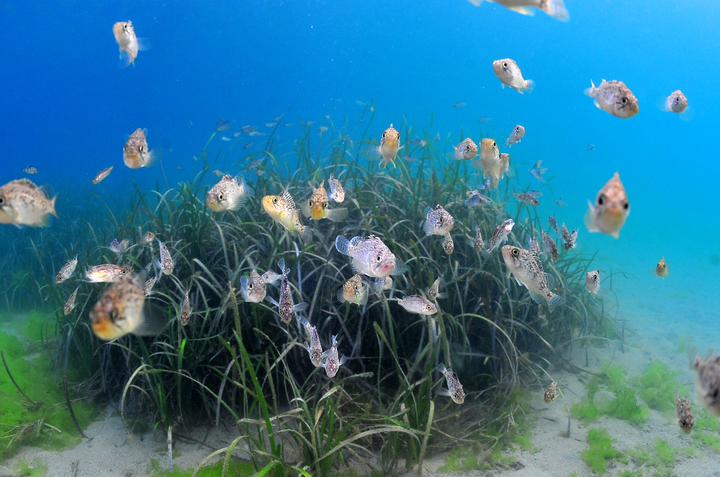 [사진=뉴시스] 2022.12.28 photo@newsis.com *재판매 및 DB 금지