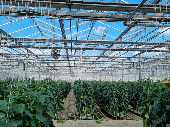 [창원=뉴시스] 강경국 기자 = 경남 창원시농업기술센터가 기상이변에 대응하고 안정적인 생산기반을 구축하기 위해 조성할 예정인 스마트팜 전문단지. (사진=창원시청 제공). 2022.12.28. photo@newsis.com *재판매 및 DB 금지