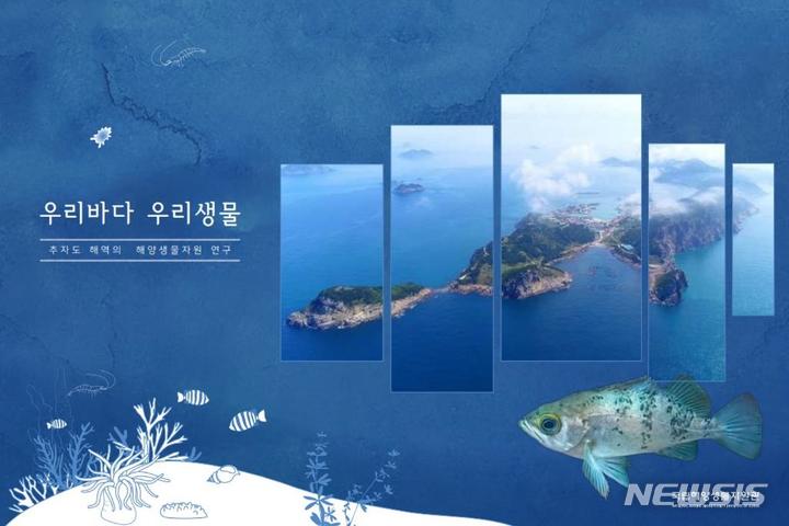 [서울=뉴시스] 추자도 해양생물.