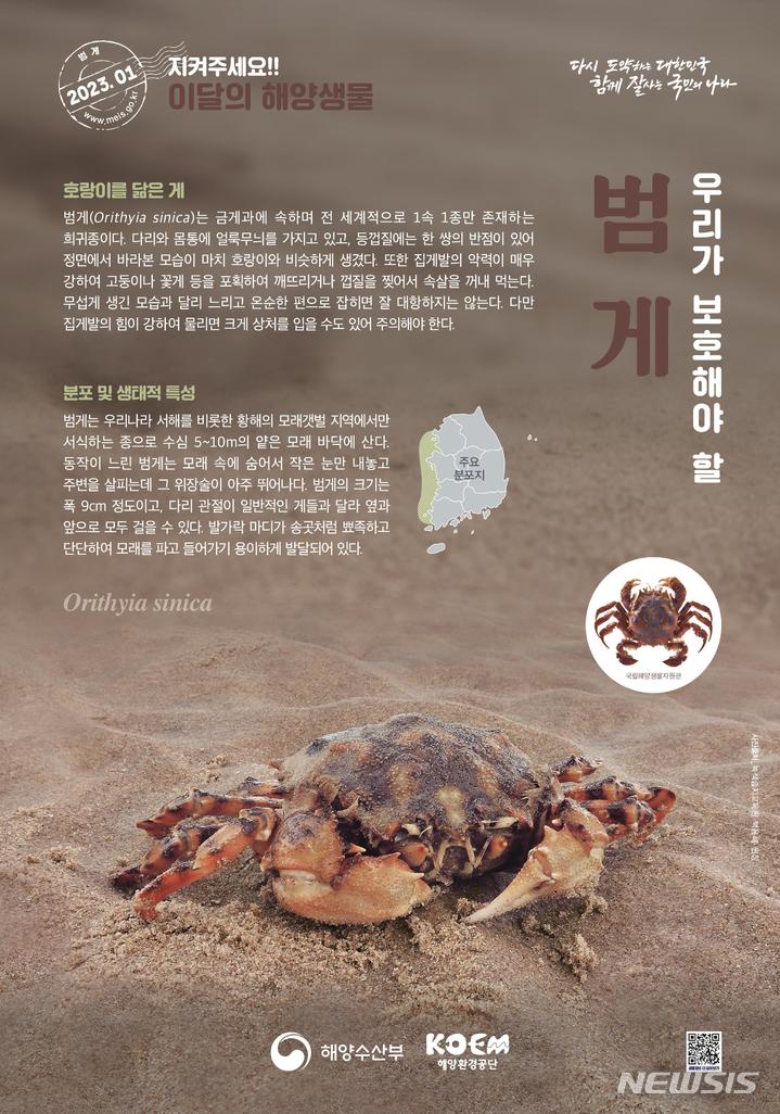 [서울=뉴시스] 1월 해양생물.