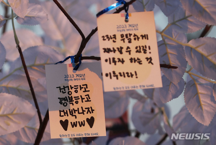 [서울=뉴시스] 권창회 기자 = 지난 1월1일 오전 서울 마포구 하늘공원 소망나무에 시민들이 적은 소원지가 걸려있다. 2023.01.01. kch0523@newsis.com