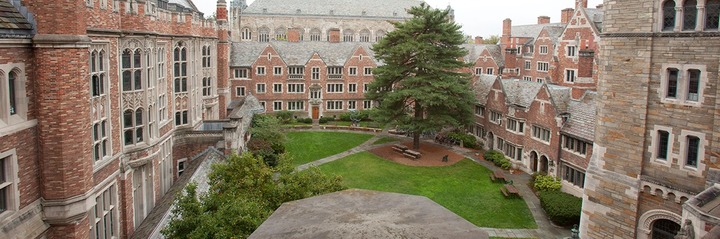 [서울=뉴시스]항상 미 법대 평가 1위를 차지한 예일대 법대 교정. 갈수록 명문대 졸업장이 취업에 도움이 되지 않는 추세다. (출처=예일대 홈페이지) 2024.11.12. *재판매 및 DB 금지