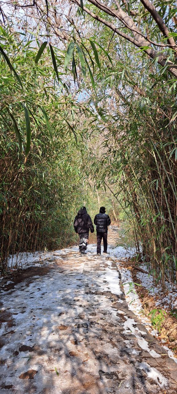 음악의 영감을 얻기 위해 화엄사 어머니의 길 걷기 하는 프로듀서 강산, RM. *재판매 및 DB 금지