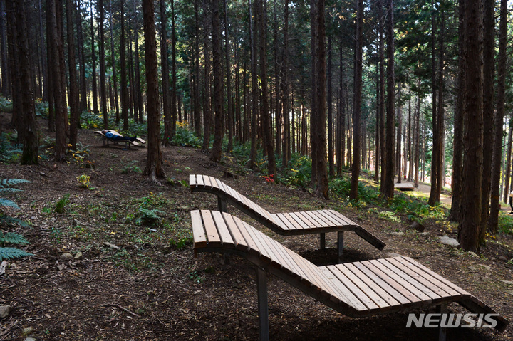 [사천=뉴시스] 차용현 기자 =경남 사천시의 숨은 명소 ‘사천케이블카 자연휴양림’ 전경. 2023.01.06. con@newsis.com 