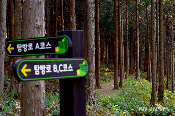 [사천=뉴시스] 차용현 기자 =경남 사천시의 숨은 명소 ‘사천케이블카 자연휴양림’ 전경. 2023.01.06. con@newsis.com 