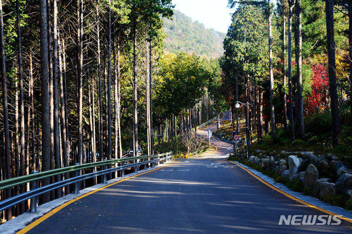 [사천=뉴시스] 차용현 기자 =경남 사천시의 숨은 명소 ‘사천케이블카 자연휴양림’ 전경. 2023.01.06. con@newsis.com 