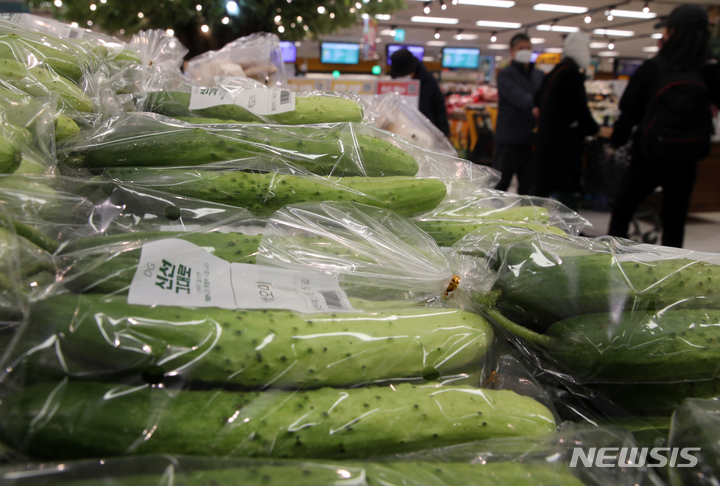 [서울=뉴시스] 고승민 기자 = 이어지는 한파에 채소가격이 최대 2배까지 치솟은 것으로 알려진 5일 서울의 한 대형마트에 오이가 진열돼 있다. 한국농수산식품유통공사에 따르면 오이 10개 소매가격은 1개월 전보다 83.5% 오른 1만8184원을 기록했다. 애호박 1개 가격은 2263원으로 전월보다 95% 뛰었다. 2023.01.05. kkssmm99@newsis.com