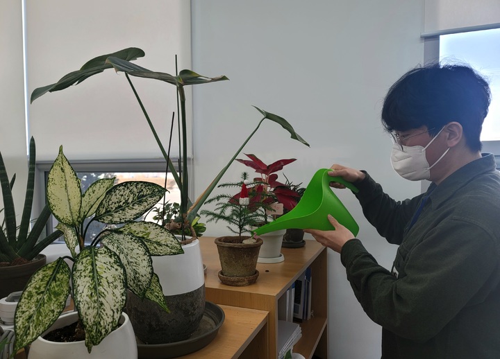 반려식물 관리(사진=농진청)&nbsp; *재판매 및 DB 금지