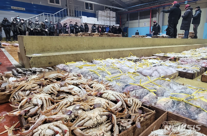 [예산=뉴시스] 민족 대명절인 설 연휴를 10여 일 앞둔 지난 2023년 1월10일 전북 군산시 해망동 군산수협 위판장을 찾은 상인들이 열띤 경매를 하고 있다. 기사와는 상관없는 사진. (사진=뉴시스 DB). photo@newsis.com