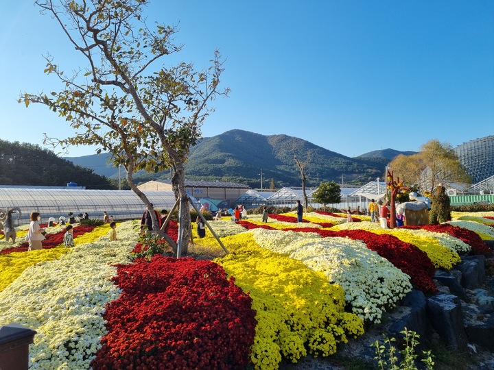 [거제=뉴시스] 신정철 기자= 거제시는 경상남도 대표축제이며 저비용 고효율의 수제(手製)축제로 올해 10월 28일부터 9일간 개최될 제17회 거제섬꽃축제에 시민들이 직접 만들고 참여할 수 있는 프로그램을 모집한다.사진은 제16회 축제모습.(사진=거제시 제공).2023.01.13. photo@newsis.com *재판매 및 DB 금지