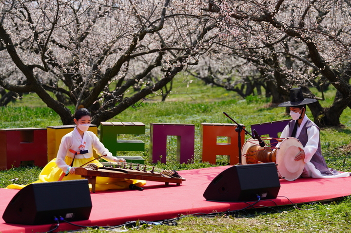 [해남=뉴시스] 땅끝매화축제 공연 *재판매 및 DB 금지