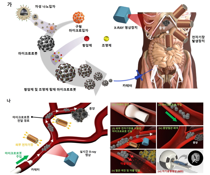 간 종양 색전을 위한 마이크로의료로봇 개념도. (사진=전남대 제공) *재판매 및 DB 금지